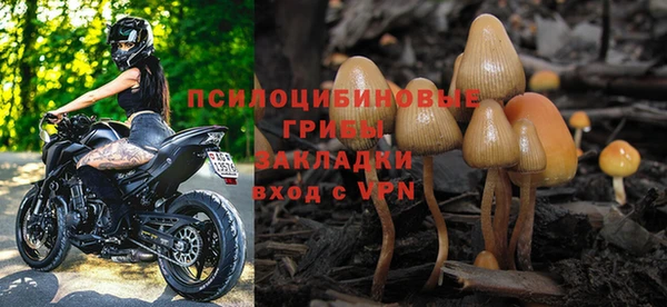 прущие грибы Наволоки