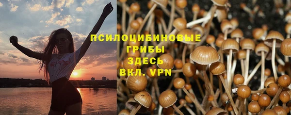 тгк Михайлов