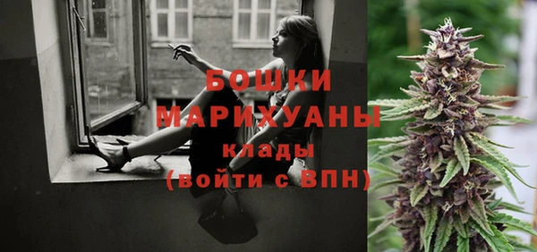 шишки Нефтекумск