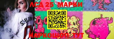 MDMA Гатчина