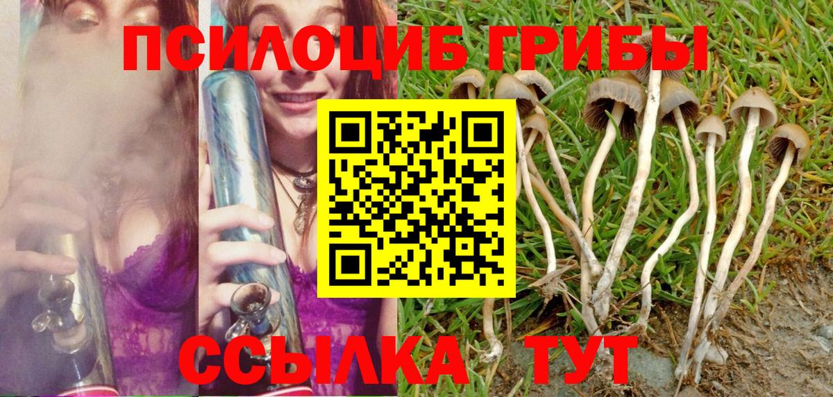 Псилоцибиновые грибы мухоморы Ирбит