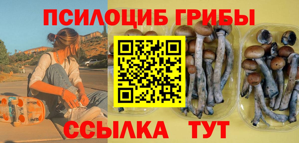 Ирбит  Галлюциногенные грибы MAGIC MUSHROOMS  Вход с VPN 